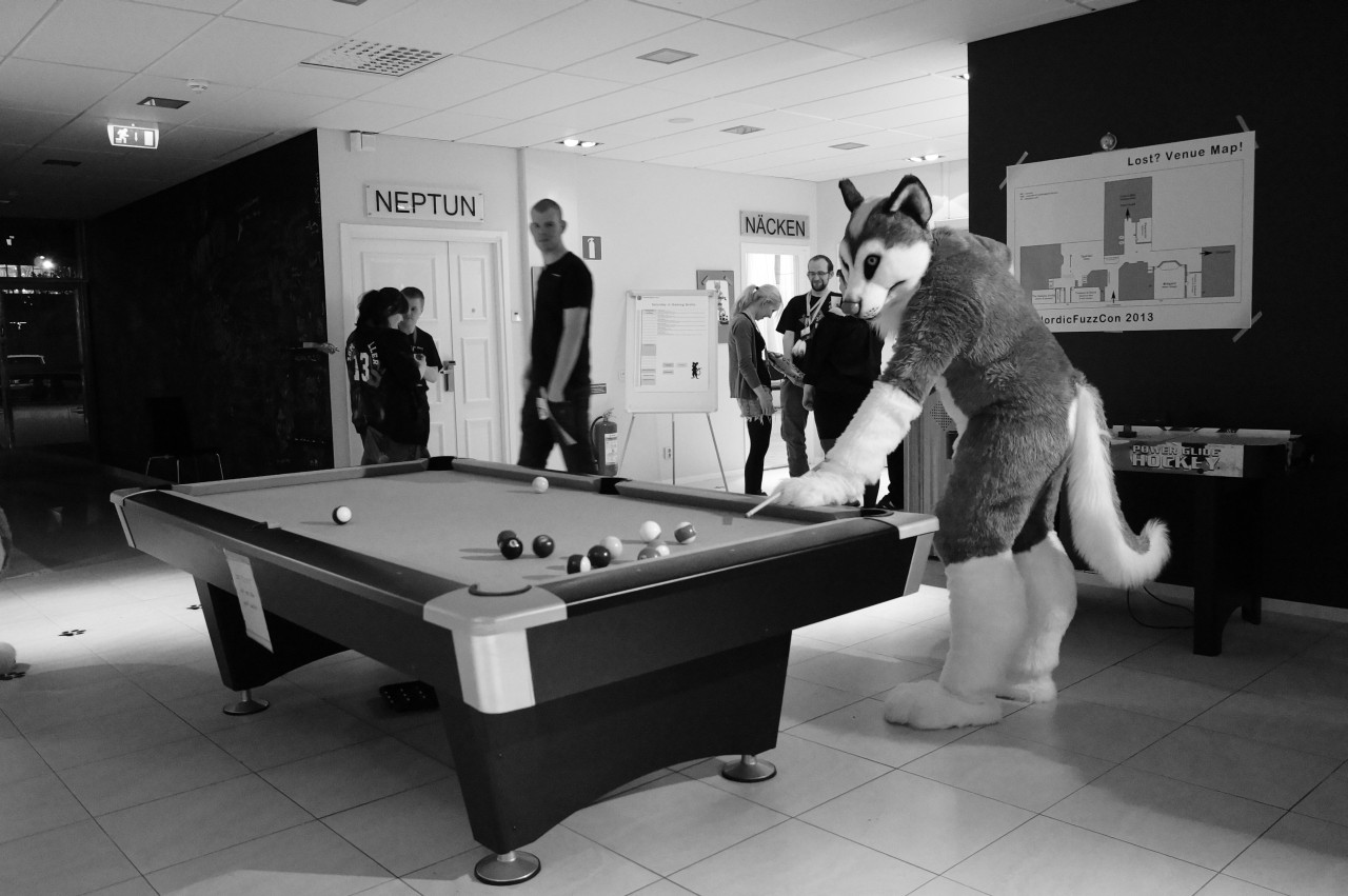 Nordic Fuzzcon 2013 - 274