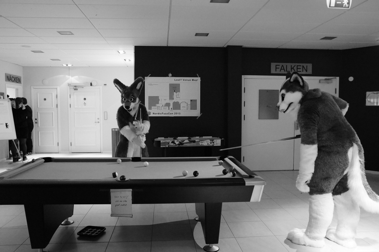 Nordic Fuzzcon 2013 - 277