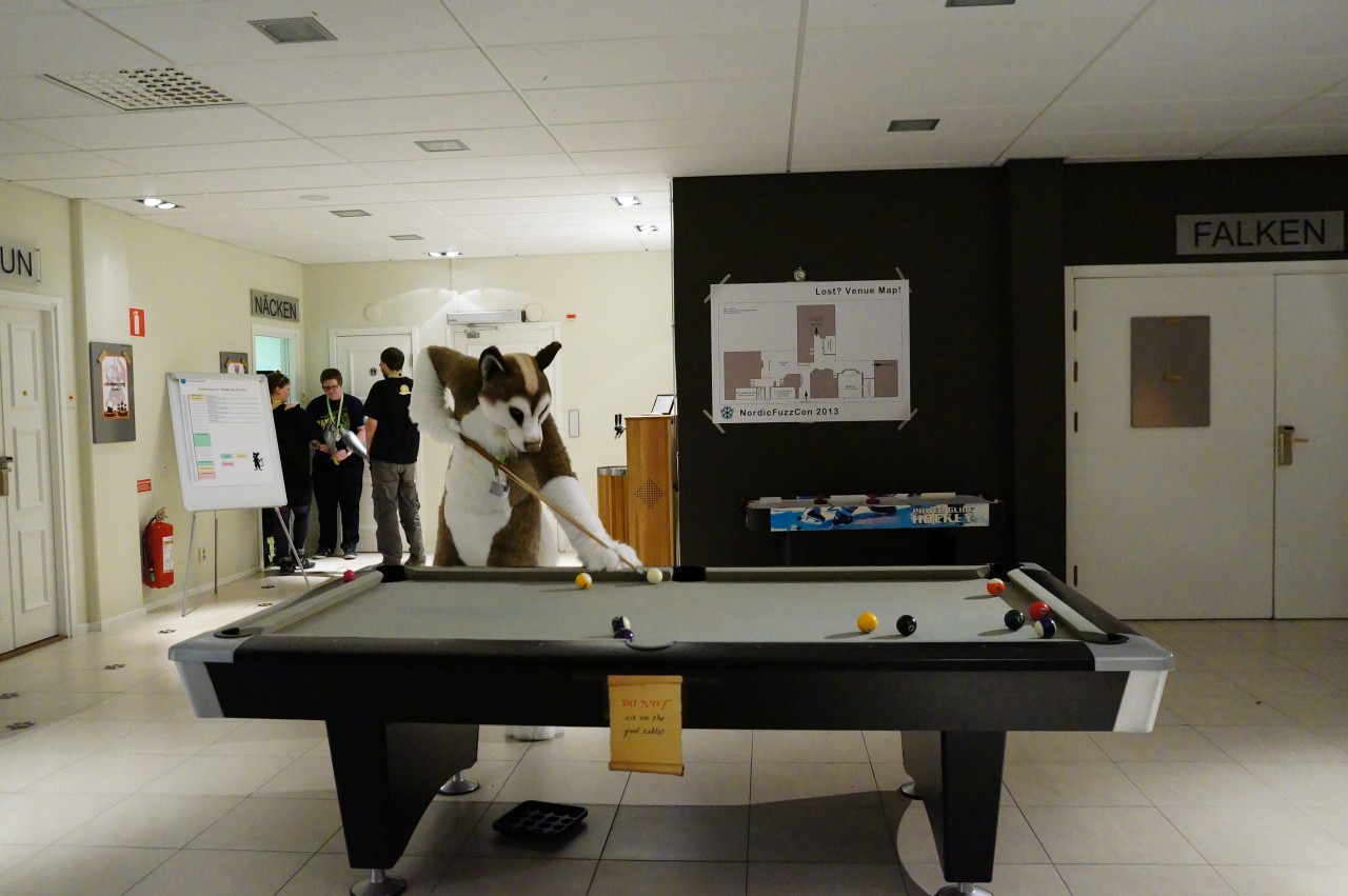 Nordic Fuzzcon 2013 - 278