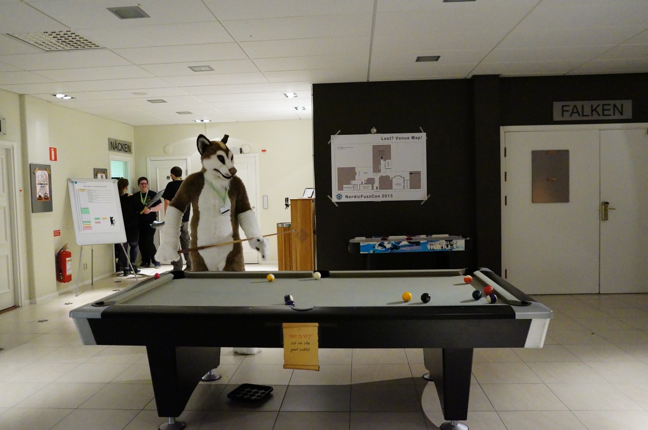 Nordic Fuzzcon 2013 - 279