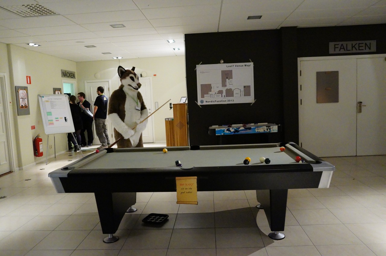 Nordic Fuzzcon 2013 - 280