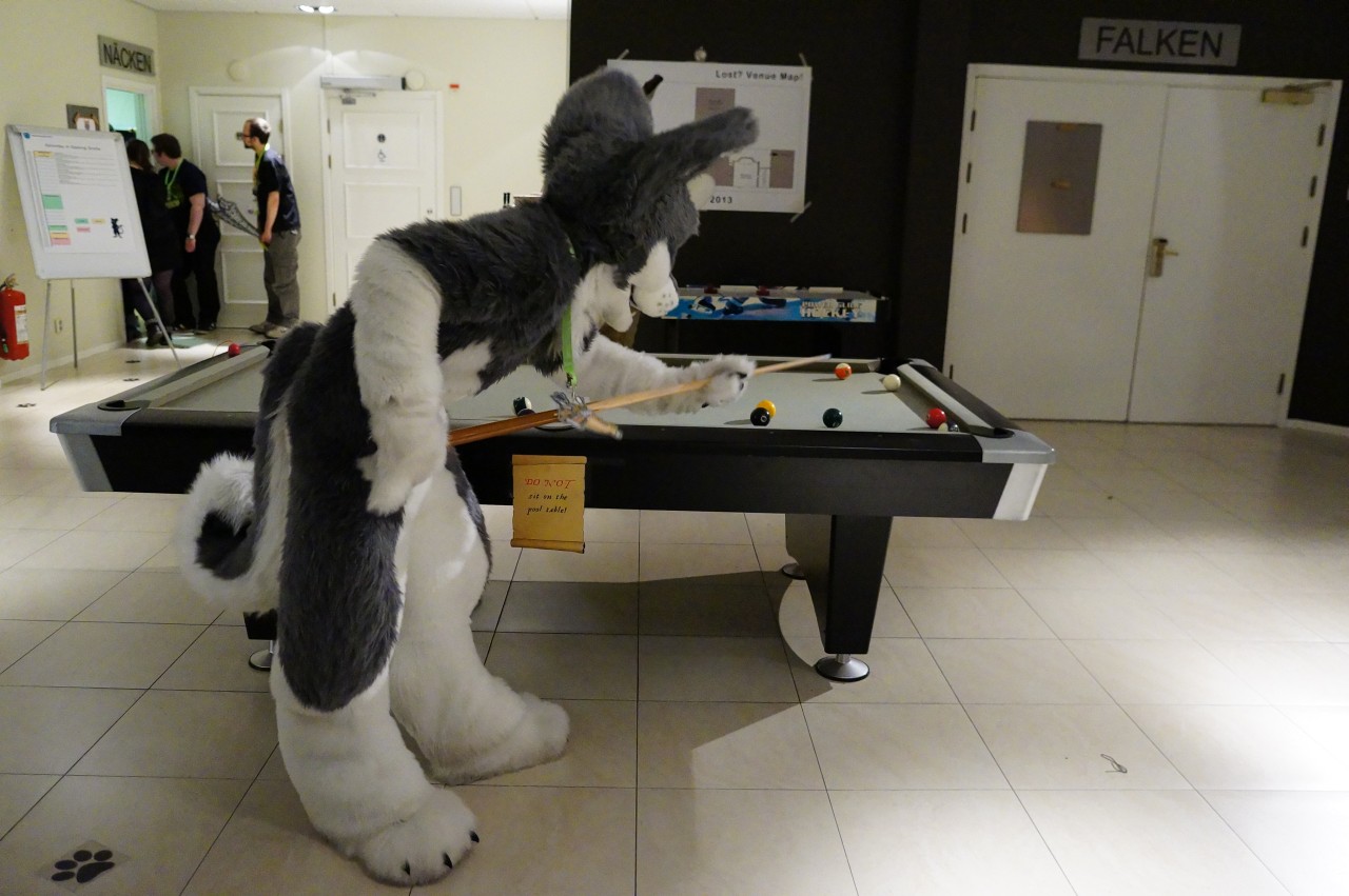 Nordic Fuzzcon 2013 - 281