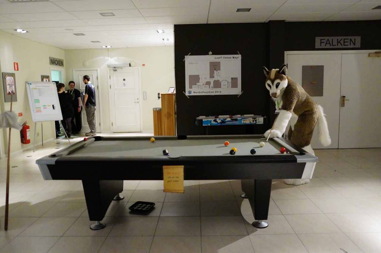 Nordic Fuzzcon 2013 - 282