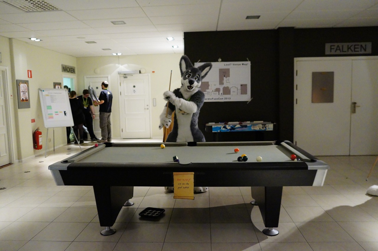 Nordic Fuzzcon 2013 - 283