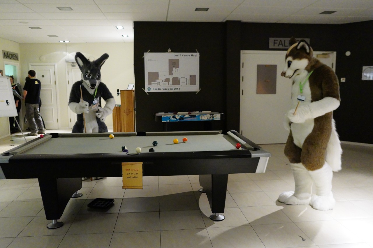 Nordic Fuzzcon 2013 - 284