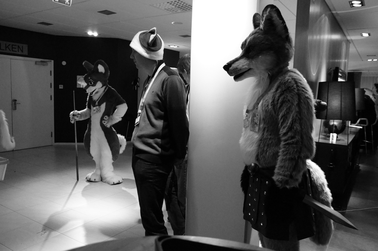 Nordic Fuzzcon 2013 - 285