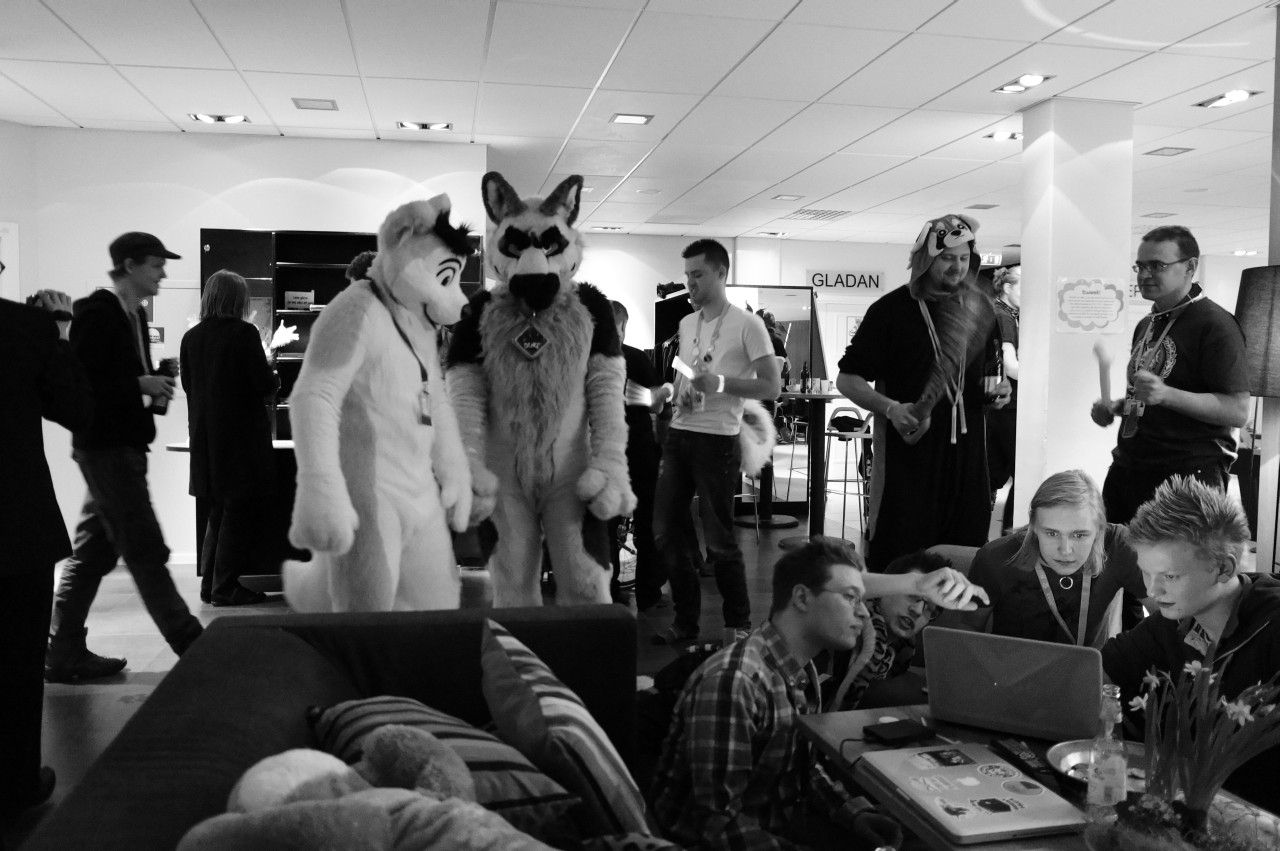 Nordic Fuzzcon 2013 - 292