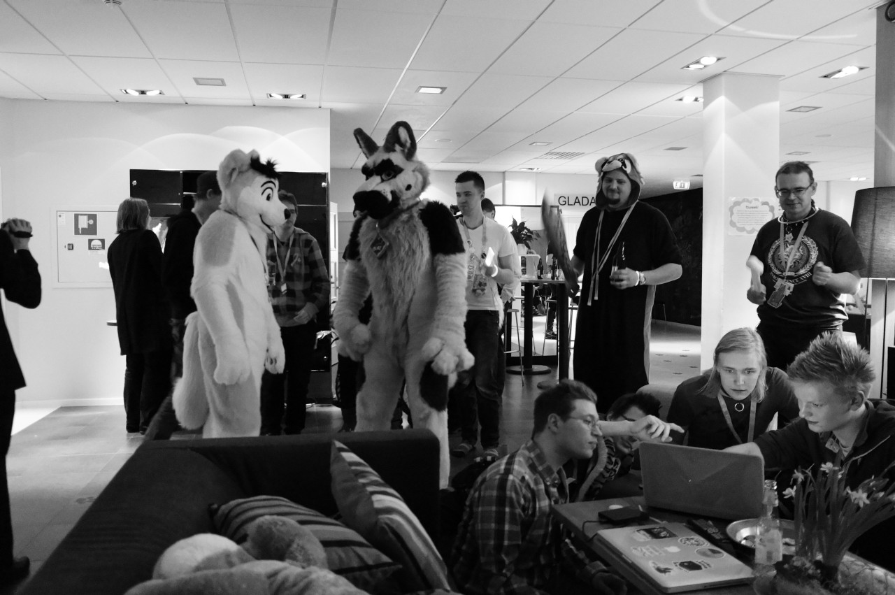 Nordic Fuzzcon 2013 - 293