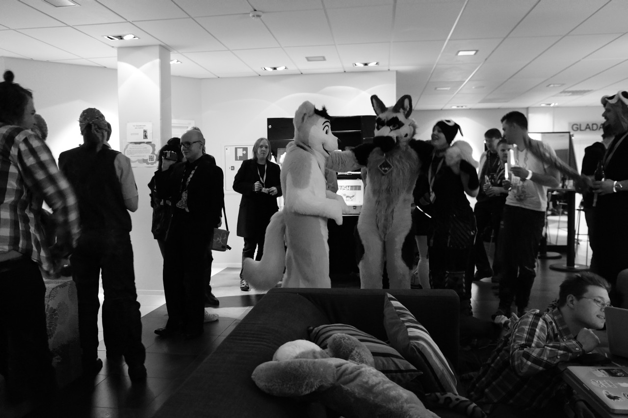 Nordic Fuzzcon 2013 - 295