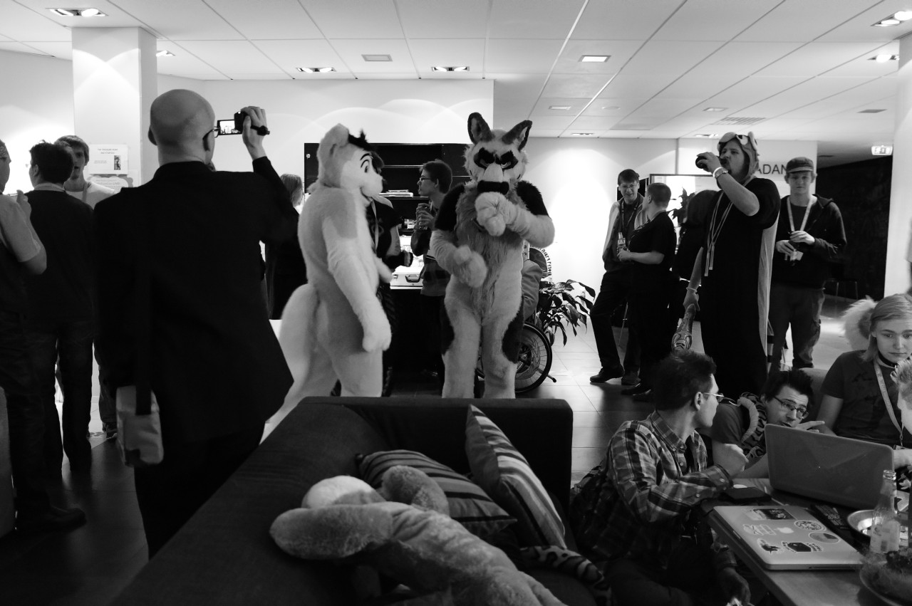 Nordic Fuzzcon 2013 - 296