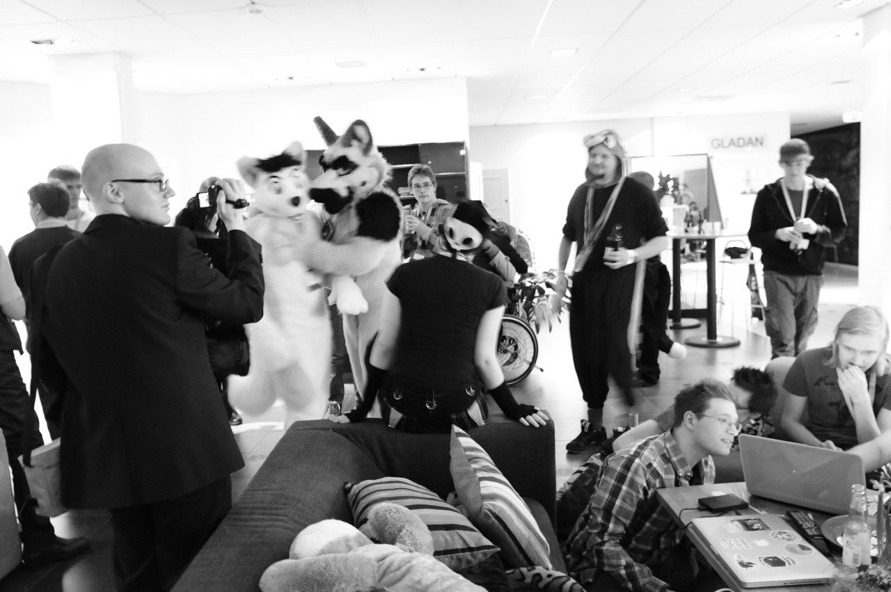 Nordic Fuzzcon 2013 - 297