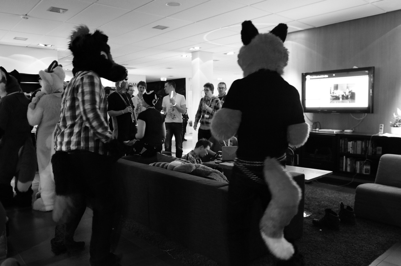 Nordic Fuzzcon 2013 - 300