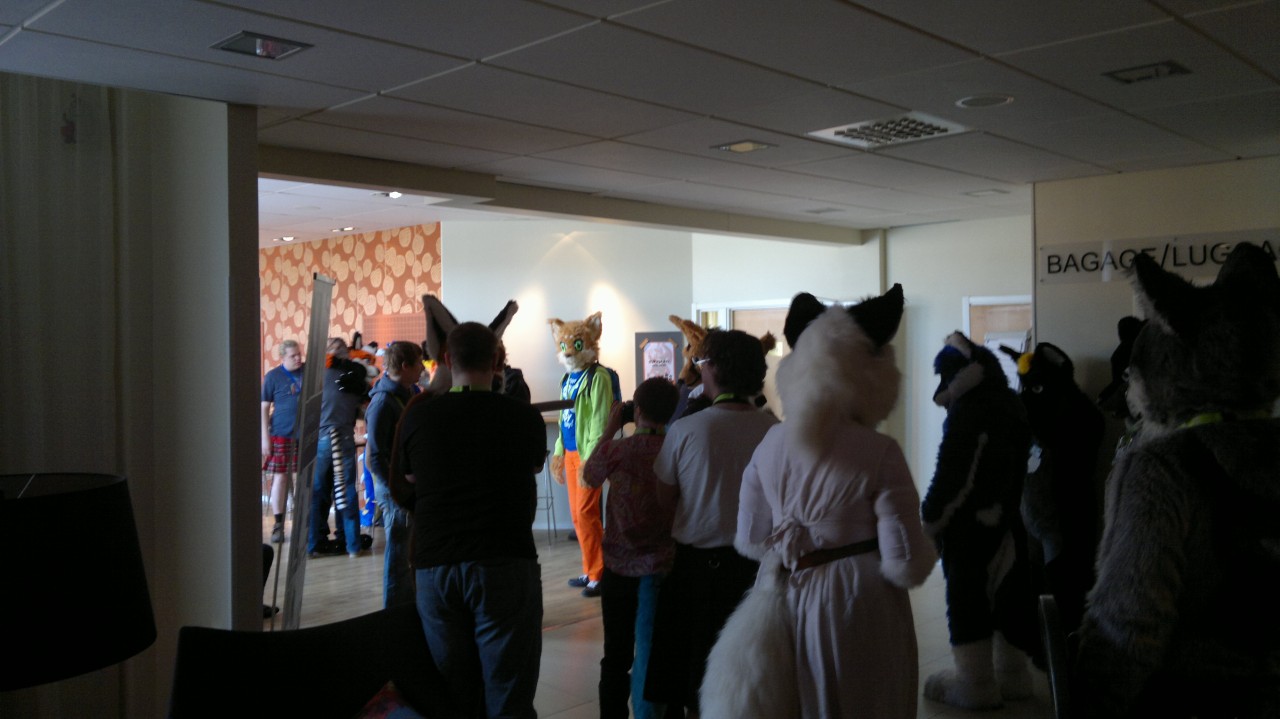 Nordic Fuzzcon 2013 - 44