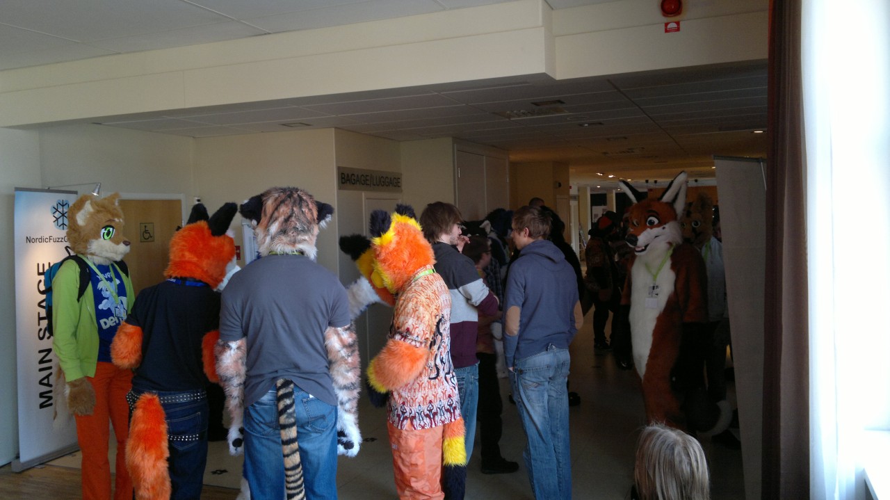 Nordic Fuzzcon 2013 - 46