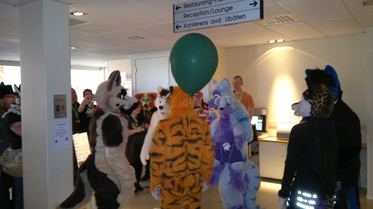 Nordic Fuzzcon 2013 - 49