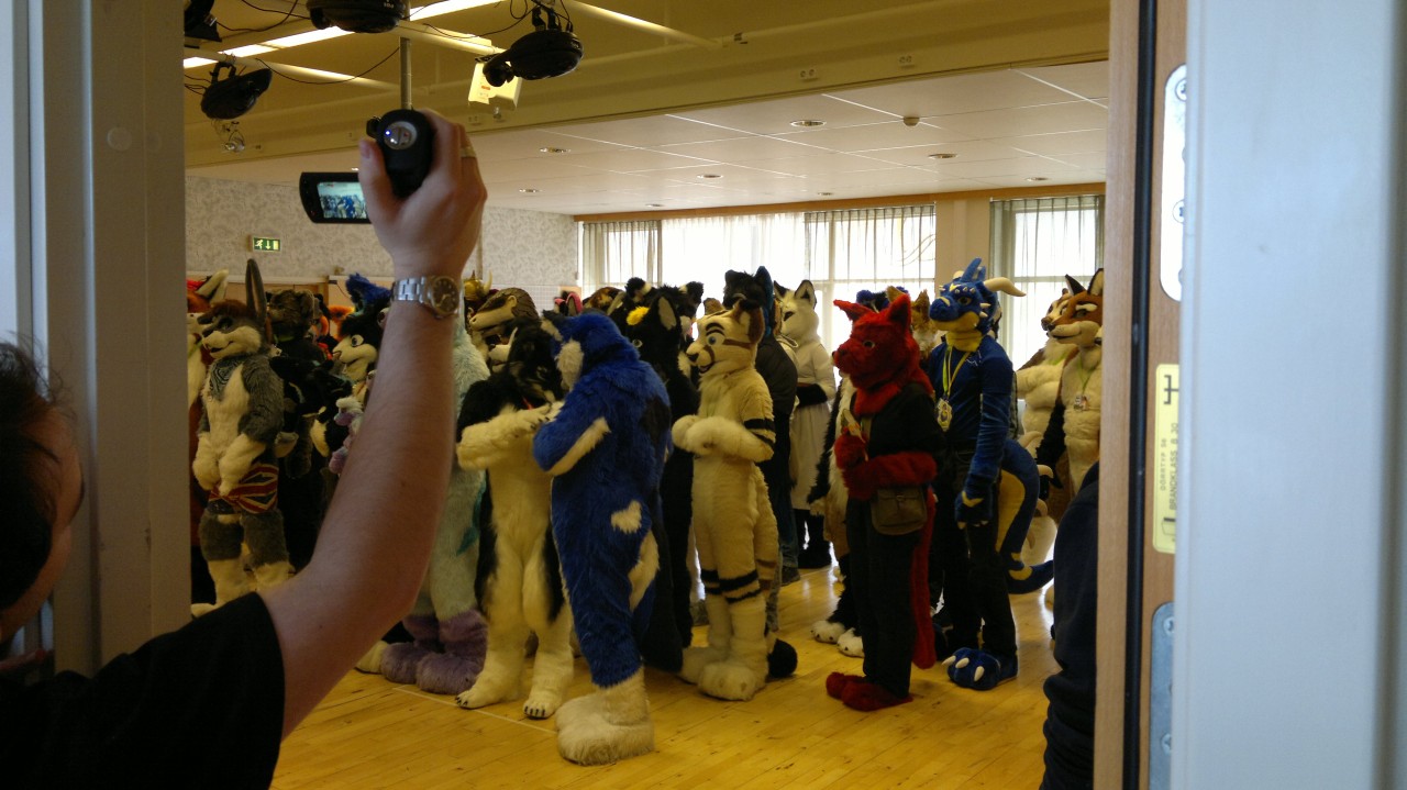 Nordic Fuzzcon 2013 - 50