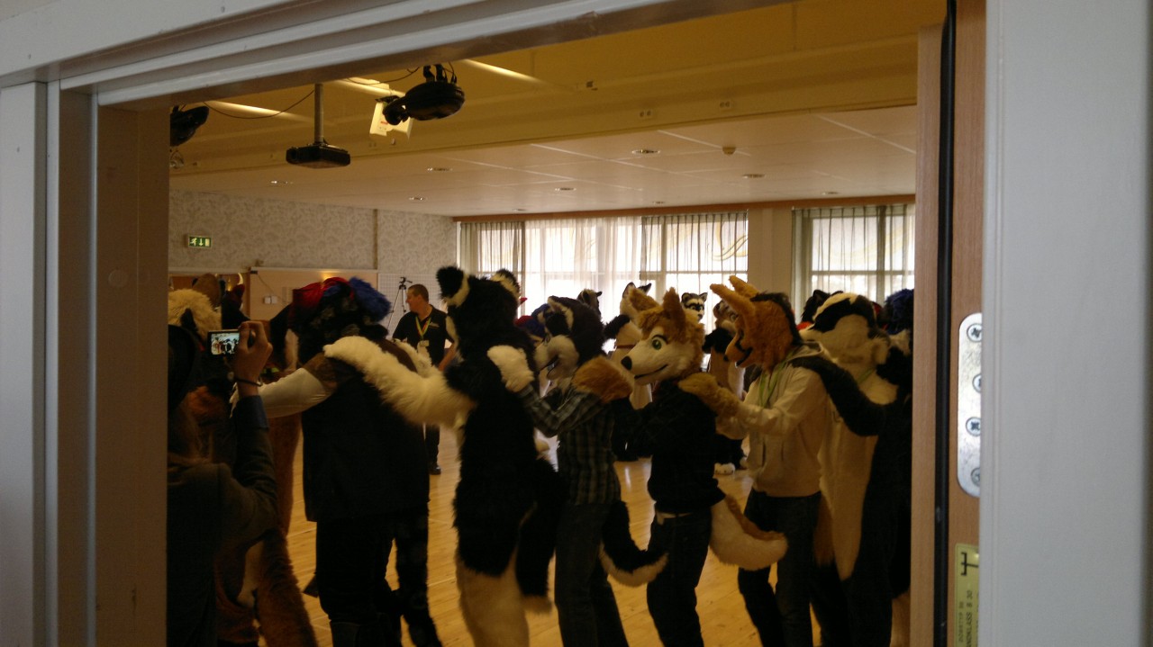 Nordic Fuzzcon 2013 - 52