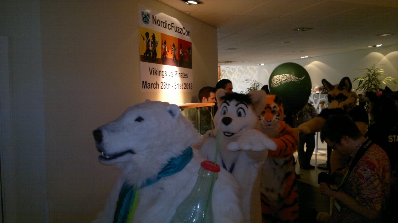 Nordic Fuzzcon 2013 - 57