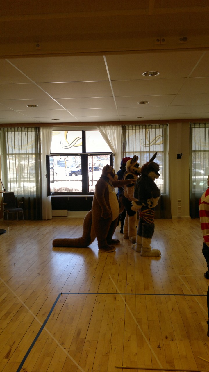 Nordic Fuzzcon 2013 - 76