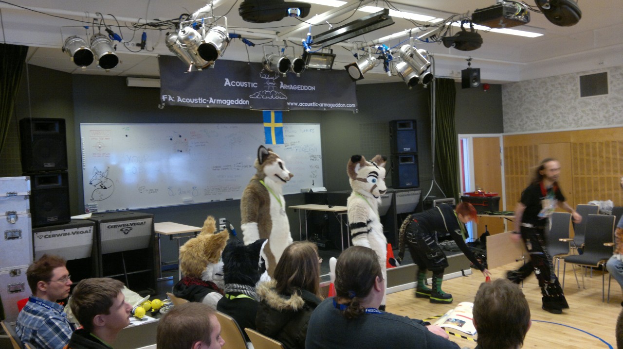 Nordic Fuzzcon 2013 - 85