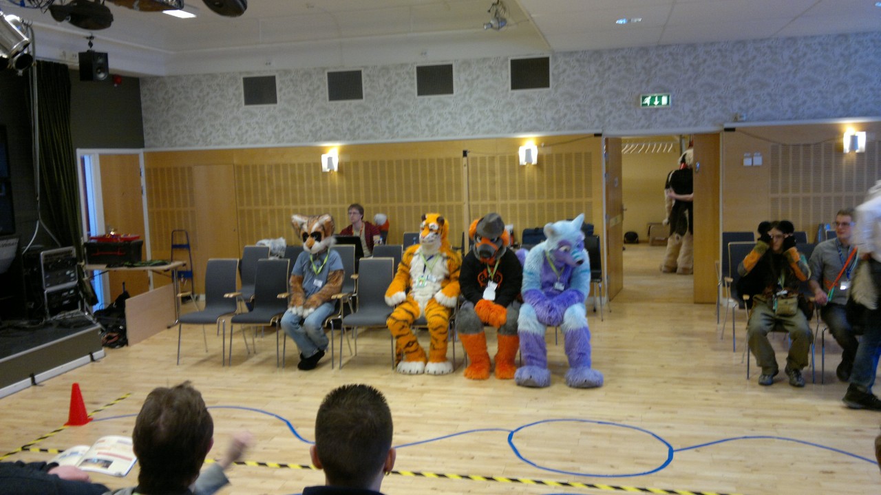 Nordic Fuzzcon 2013 - 86