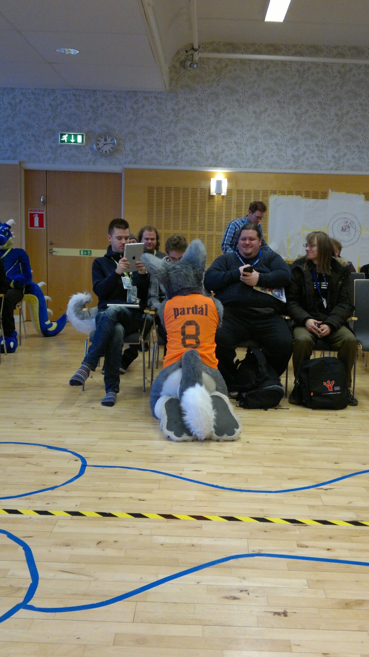 Nordic Fuzzcon 2013 - 88