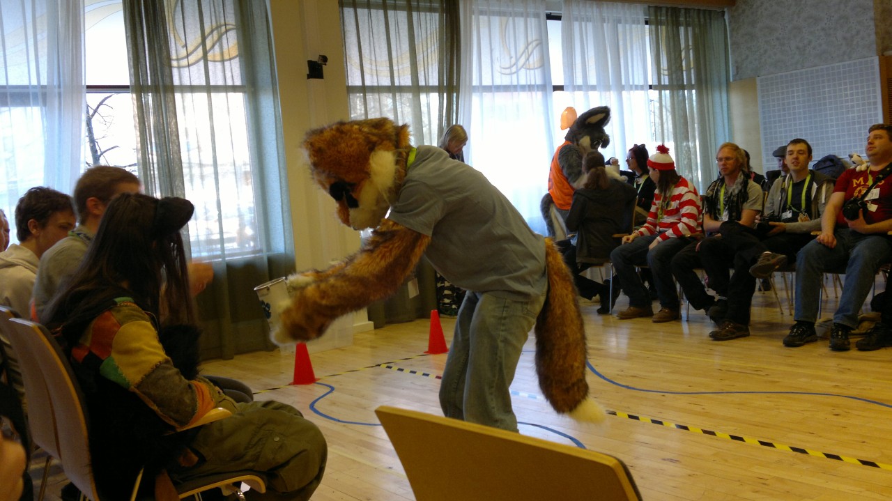 Nordic Fuzzcon 2013 - 90