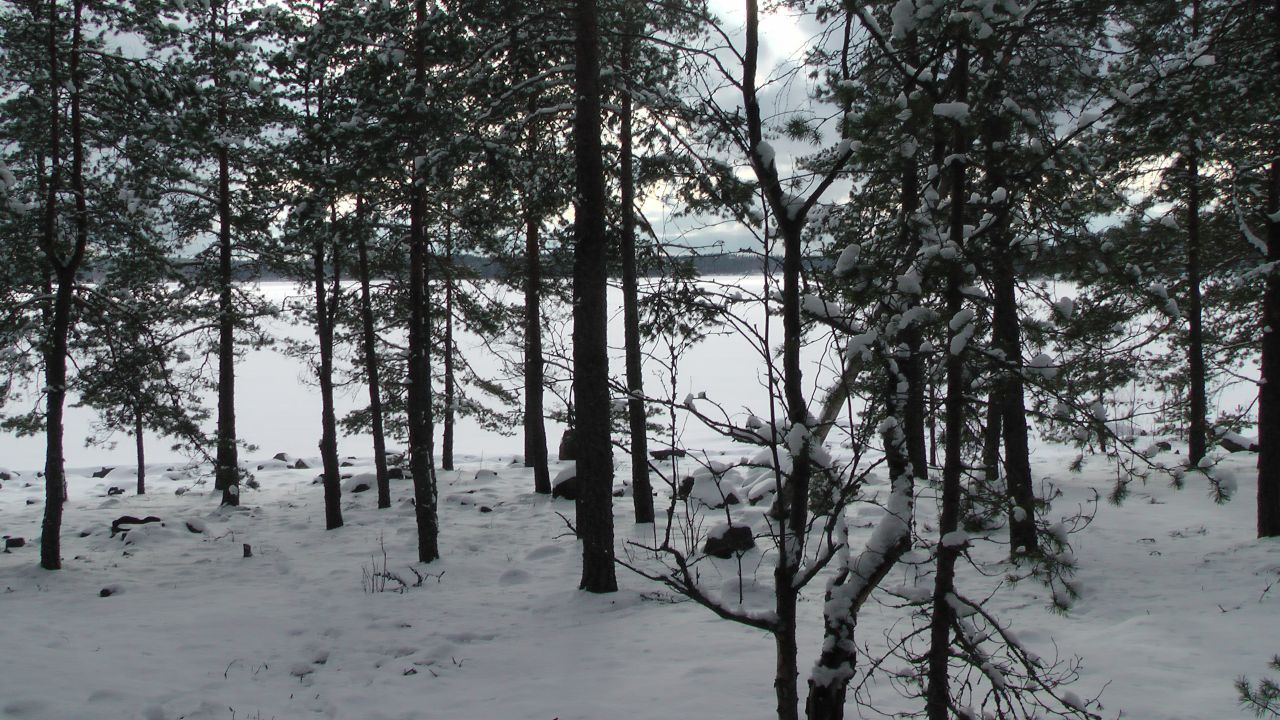 Salpalinja Naurissaari ja Ruohosaari 2014 - 53