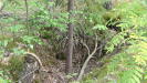 A closeup. The trench used to have wooden sidings holding it open, but these have all rotted away over the long decades.