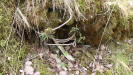 The final rotted remains of a support pole can be seen inside the loop of steel wiring.