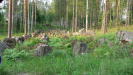 A barrier made out of five lines of tank obstacle rocks, next to road 13 near Lappeenranta. This is a rare configuration, three lines would have been much more common.