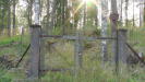 A second gate on the opposite side of the hill, in this end the fencing had collapsed so we could go in.