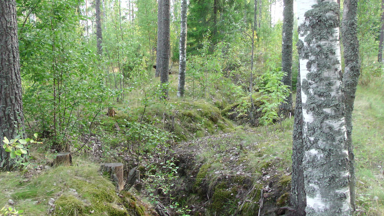 Luumäki-Lappeenranta-000003