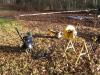 Equipment ready to make some firewood.