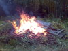 A pyre made of small trees and wooden refuse.