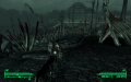 fallout3-7