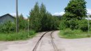 Briefly looking back from the unguarded crossing.